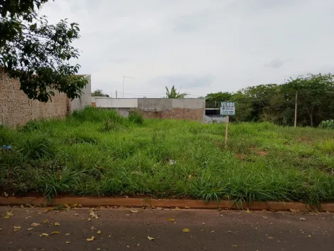 Comprar Terreno / Padr&atilde;o em Bady Bassitt R$ 65.000,00 - Foto 14