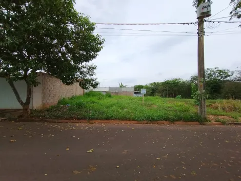 Comprar Terreno / Padr&atilde;o em Bady Bassitt R$ 65.000,00 - Foto 15