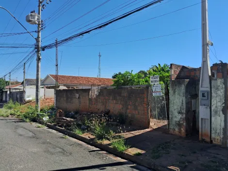 Comprar Terreno / Padr&atilde;o em Bady Bassitt R$ 150.000,00 - Foto 5