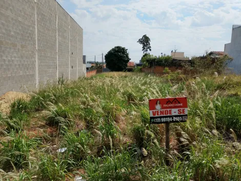 Comprar Terreno / Padr&atilde;o em Bady Bassitt R$ 150.000,00 - Foto 7