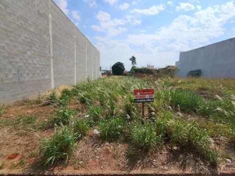 Comprar Terreno / Padr&atilde;o em Bady Bassitt R$ 150.000,00 - Foto 8