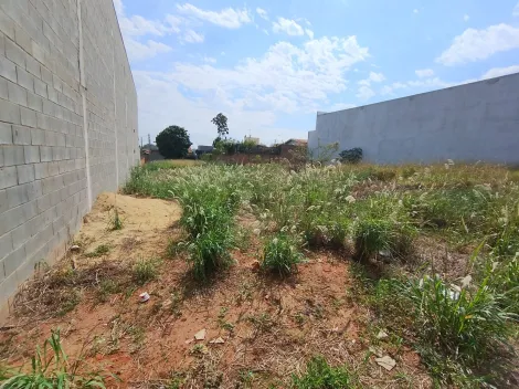 Comprar Terreno / Padr&atilde;o em Bady Bassitt R$ 150.000,00 - Foto 9