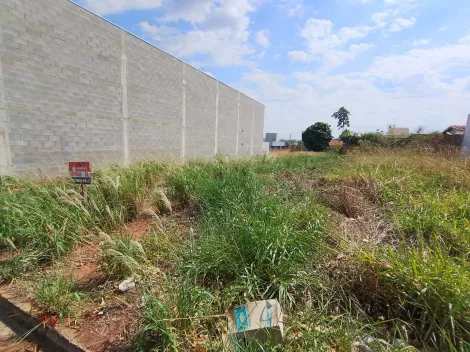 Comprar Terreno / Padr&atilde;o em Bady Bassitt R$ 150.000,00 - Foto 10