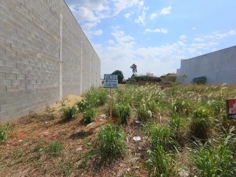 Comprar Terreno / Padr&atilde;o em Bady Bassitt R$ 150.000,00 - Foto 11