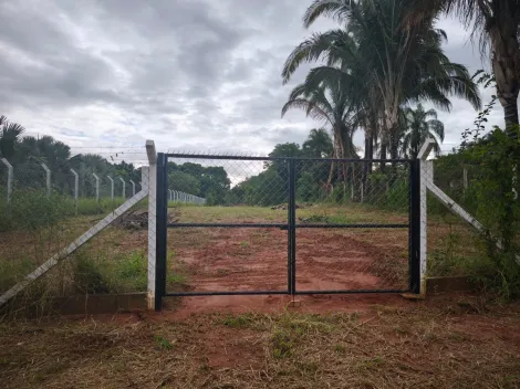 Comprar Rural / Ch&aacute;cara em Bady Bassitt R$ 230.000,00 - Foto 4