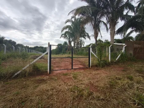 Comprar Rural / Ch&aacute;cara em Bady Bassitt R$ 230.000,00 - Foto 5