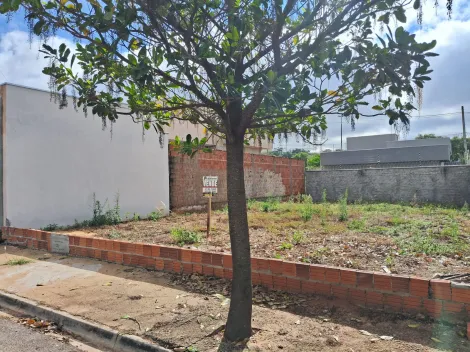 Comprar Terreno / Padr&atilde;o em Mirassol R$ 90.000,00 - Foto 3