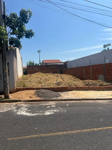 Terreno / Padr&atilde;o em S&atilde;o Jos&eacute; do Rio Preto 