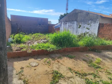 Comprar Terreno / Padr&atilde;o em S&atilde;o Jos&eacute; do Rio Preto R$ 100.000,00 - Foto 5