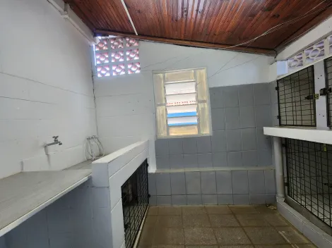 Alugar Comercial / Casa Comercial em S&atilde;o Jos&eacute; do Rio Preto R$ 2.500,00 - Foto 15