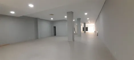 Alugar Comercial / Sal&atilde;o em S&atilde;o Jos&eacute; do Rio Preto R$ 16.000,00 - Foto 2