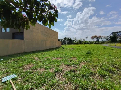 Comprar Terreno / Padr&atilde;o em S&atilde;o Jos&eacute; do Rio Preto R$ 120.000,00 - Foto 8