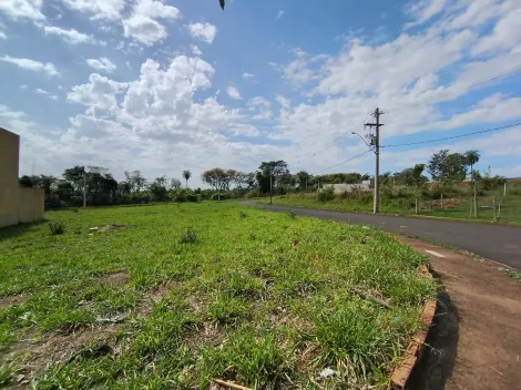 Comprar Terreno / Padr&atilde;o em S&atilde;o Jos&eacute; do Rio Preto R$ 120.000,00 - Foto 9