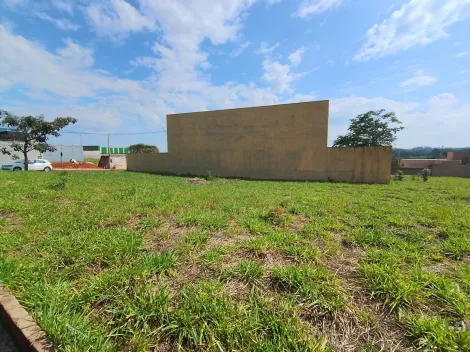 Comprar Terreno / Padr&atilde;o em S&atilde;o Jos&eacute; do Rio Preto R$ 120.000,00 - Foto 14