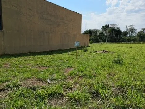 Comprar Terreno / Padr&atilde;o em S&atilde;o Jos&eacute; do Rio Preto R$ 120.000,00 - Foto 15