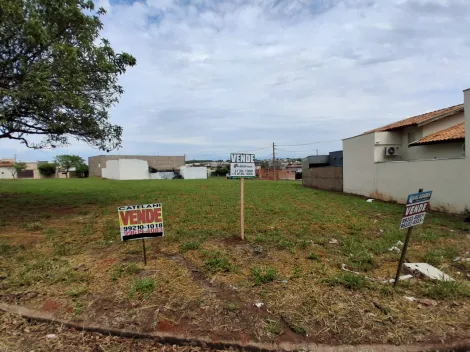 Comprar Terreno / Padr&atilde;o em Bady Bassitt R$ 90.000,00 - Foto 2
