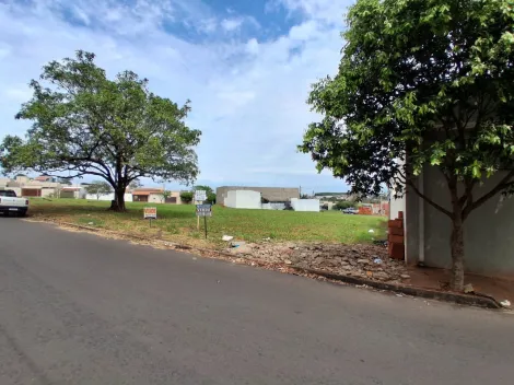Comprar Terreno / Padr&atilde;o em Bady Bassitt R$ 90.000,00 - Foto 3