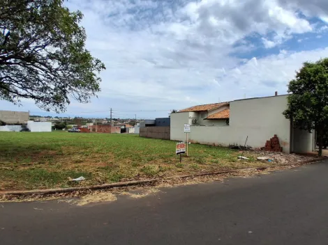 Comprar Terreno / Padr&atilde;o em Bady Bassitt R$ 90.000,00 - Foto 5