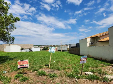 Comprar Terreno / Padr&atilde;o em Bady Bassitt R$ 90.000,00 - Foto 8