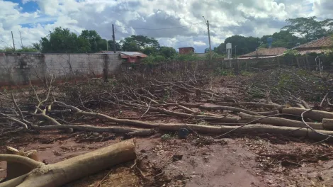 Comprar Rural / Ch&aacute;cara em S&atilde;o Jos&eacute; do Rio Preto R$ 120.000,00 - Foto 4