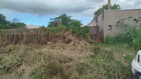 Comprar Rural / Ch&aacute;cara em S&atilde;o Jos&eacute; do Rio Preto R$ 120.000,00 - Foto 3