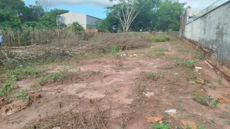 Comprar Rural / Ch&aacute;cara em S&atilde;o Jos&eacute; do Rio Preto R$ 120.000,00 - Foto 2