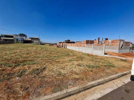 Comprar Terreno / Condom&iacute;nio em S&atilde;o Jos&eacute; do Rio Preto R$ 290.000,00 - Foto 9