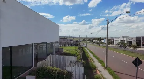 Comprar Terreno / &Aacute;rea em Mirassol R$ 2.300.000,00 - Foto 11