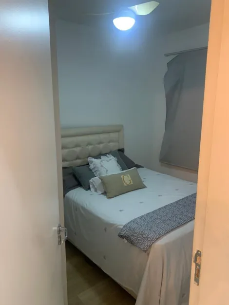 Alugar Apartamento / Padr&atilde;o em S&atilde;o Jos&eacute; do Rio Preto R$ 1.800,00 - Foto 17