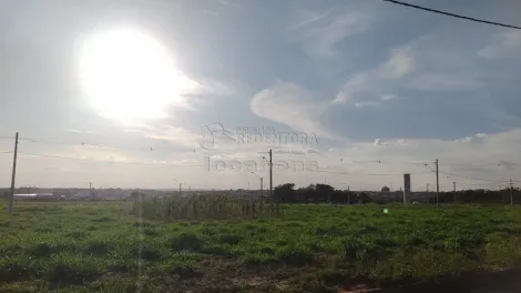 Terreno / Padr&atilde;o em Bady Bassitt 