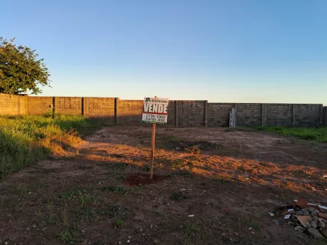 Alugar Terreno / Padr&atilde;o em Cedral. apenas R$ 80.000,00