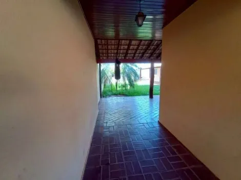 Alugar Casa / Padr&atilde;o em S&atilde;o Jos&eacute; do Rio Preto R$ 3.500,00 - Foto 4