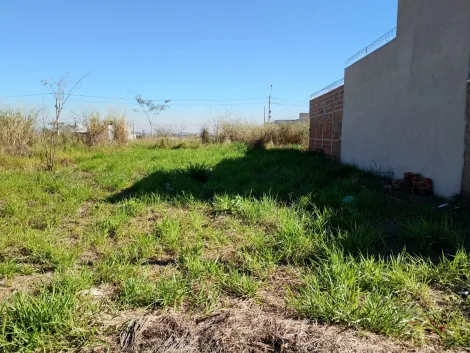 Comprar Terreno / Padr&atilde;o em S&atilde;o Jos&eacute; do Rio Preto R$ 130.000,00 - Foto 5