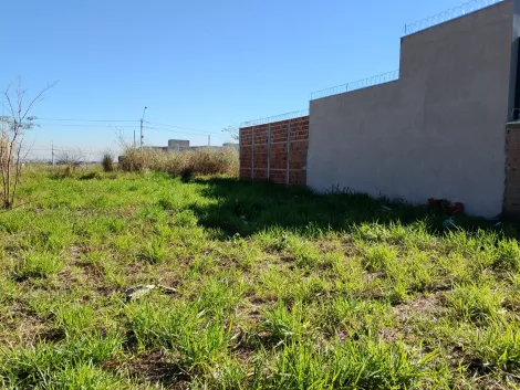 Comprar Terreno / Padr&atilde;o em S&atilde;o Jos&eacute; do Rio Preto R$ 130.000,00 - Foto 6