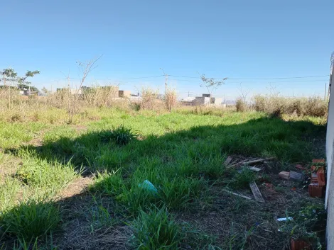 Comprar Terreno / Padr&atilde;o em S&atilde;o Jos&eacute; do Rio Preto R$ 130.000,00 - Foto 7