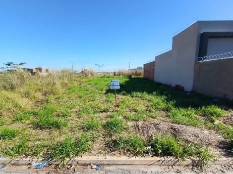 Comprar Terreno / Padr&atilde;o em S&atilde;o Jos&eacute; do Rio Preto R$ 130.000,00 - Foto 8