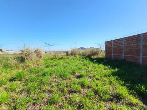 Comprar Terreno / Padr&atilde;o em S&atilde;o Jos&eacute; do Rio Preto R$ 130.000,00 - Foto 11