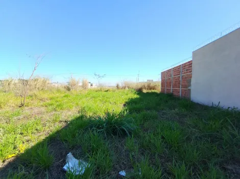 Comprar Terreno / Padr&atilde;o em S&atilde;o Jos&eacute; do Rio Preto R$ 130.000,00 - Foto 12