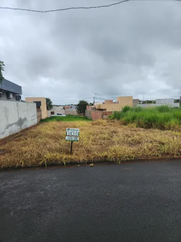 Comprar Terreno / Padr&atilde;o em Bady Bassitt R$ 90.000,00 - Foto 7