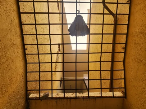 Alugar Apartamento / Padr&atilde;o em S&atilde;o Jos&eacute; do Rio Preto R$ 1.375,00 - Foto 3