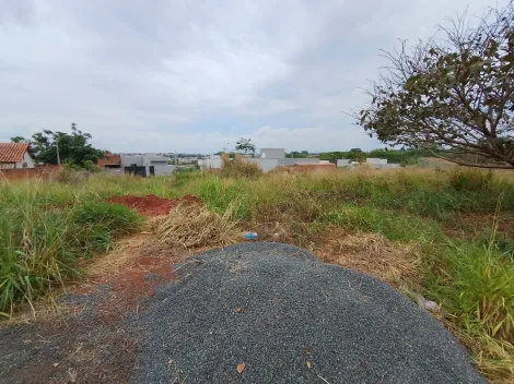 Comprar Terreno / Padr&atilde;o em Bady Bassitt R$ 66.000,00 - Foto 7