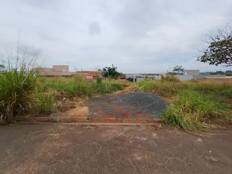 Comprar Terreno / Padr&atilde;o em Bady Bassitt R$ 66.000,00 - Foto 9