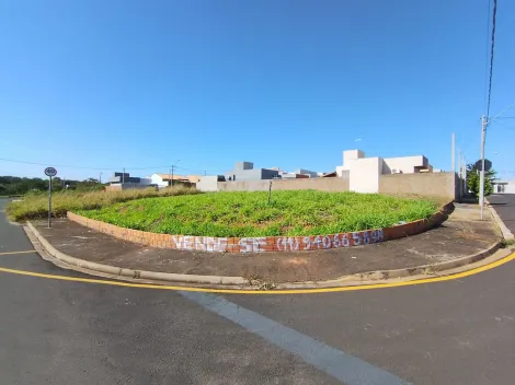 Terreno / Padr&atilde;o em Mirassol 