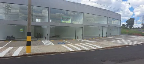 Comprar Comercial / Sala em S&atilde;o Jos&eacute; do Rio Preto - Foto 9