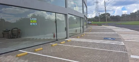 Comprar Comercial / Sala em S&atilde;o Jos&eacute; do Rio Preto - Foto 5