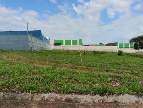 Comprar Terreno / Padr&atilde;o em S&atilde;o Jos&eacute; do Rio Preto R$ 125.000,00 - Foto 10