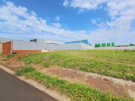 Comprar Terreno / Padr&atilde;o em S&atilde;o Jos&eacute; do Rio Preto R$ 125.000,00 - Foto 12