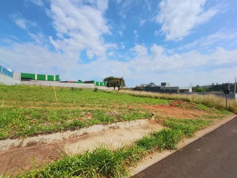 Comprar Terreno / Padr&atilde;o em S&atilde;o Jos&eacute; do Rio Preto R$ 125.000,00 - Foto 13