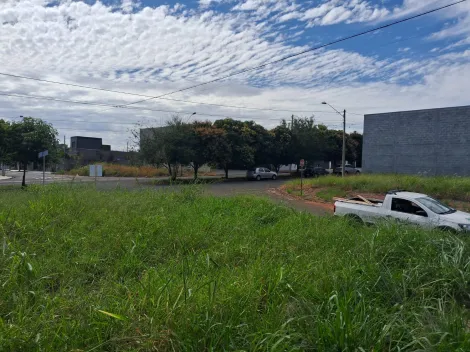 Comprar Terreno / Padr&atilde;o em Bady Bassitt R$ 235.000,00 - Foto 13