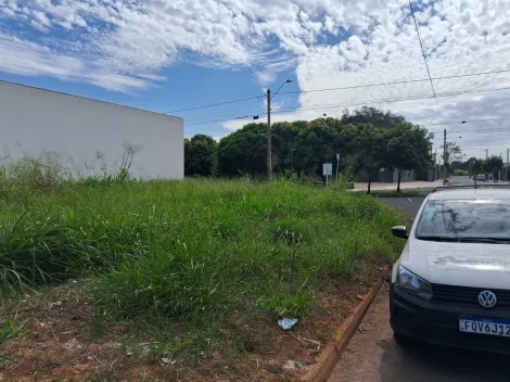 Comprar Terreno / Padr&atilde;o em Bady Bassitt R$ 235.000,00 - Foto 14